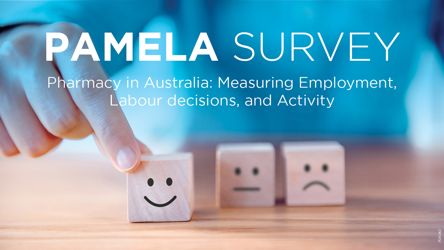 Image banner for PAMELA Survey